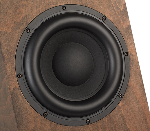 Galerie d'images Timbo-X Bass, Image détaillée 5